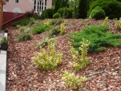 kertgondozás