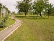 kertgondozás