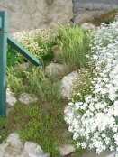 kertgondozás