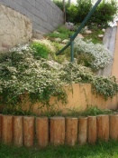 kertgondozás